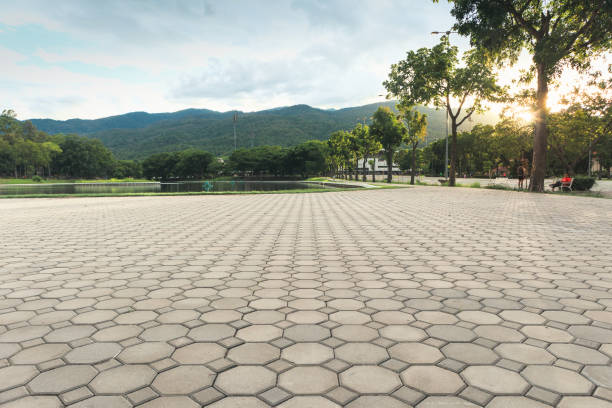 Best Residential Paver Driveway  in Lakeland South, WA