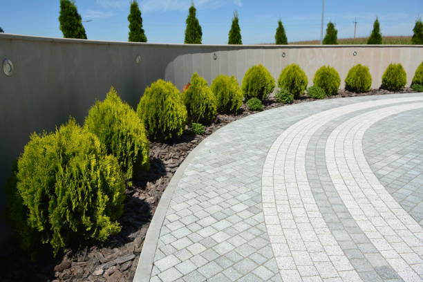 Best Driveway Paver Sealing  in Lakeland South, WA
